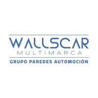 Wallscar Multimarca logo - Similar company to Next Energía 21