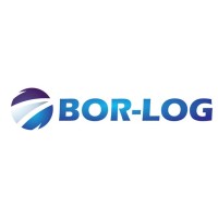 BOR-LOG LLC (UZBEKISTAN) logo - Similar company to Cooperation Lab