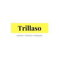 Trillaso Media Network logo - Similar company to Metafor