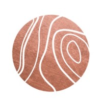 Meteora Alternative Investments logo - Similar company to Flora Development