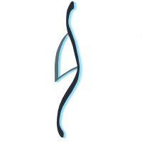 Back In Shape Clinic logo - Similar company to Benuren - Intimate Solutions
