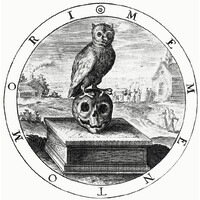 The Morbid Anatomy Museum