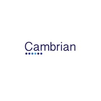 Cambrian Associates Ltd logo - Similar company to Blackbear Financial Group Ltd