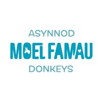 Moel Famau Donkeys logo - Similar company to Really Matters