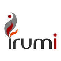 irumi logo - Similar company to Icfi Ingenierie Conseil Formation Informatique