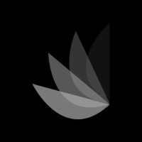 DALIA logo - Similar company to Hackademy