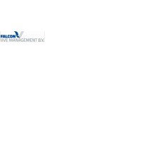 Falcon Vve Management Bv
