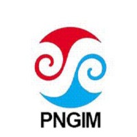 PNG Institute of Management Ltd logo - Similar company to Mcwilliams Training Consultancy