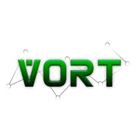 VORT Solutions logo - Similar company to Dbs Informatica