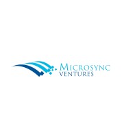 Microsync Ventures logo - Similar company to Lance Solutions Kenya