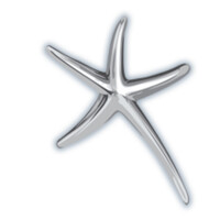 The Paley Foundation logo - Similar company to Paley Orthopedic & Spine Institute