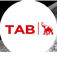 TAB Surfaces logo - Similar company to Tabindia