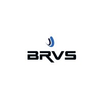 BRVS GROUP logo - Similar company to Slink