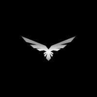 Digital 🚀 Eagles 🦅. logo - Similar company to Digital Heroes50