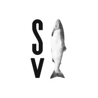 Salmøn Visuals logo - Similar company to Ardg Consulting-Transformación Digital Comercial B2B