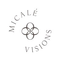 Micalé Visions logo - Similar company to Web3 Developer Academy