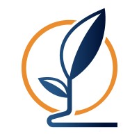 Bright Vision logo - Similar company to Turnaround