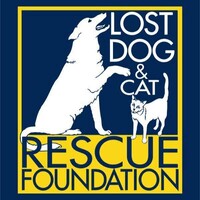 Lost Dog and Cat Rescue Foundation logo - Similar company to Janney Elementary School