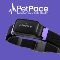 PetPace logo - Similar company to Dogster