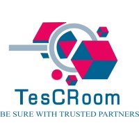TesCRoom logo - Similar company to Staninfra Private Limited