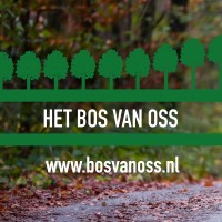 Bos van Oss logo - Similar company to Maruna Process Improvement