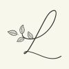 limplify logo - Similar company to Pinnacle Adoration