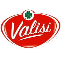 Valisi logo - Similar company to Bm Aerosol