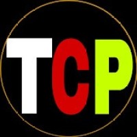 THE CIVIL POINT logo - Similar company to Civil Point Engineers, Inc.