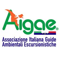 AIGAE logo - Similar company to Assoguide
