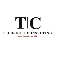 TechSight Consulting logo - Similar company to &Beek-Cio