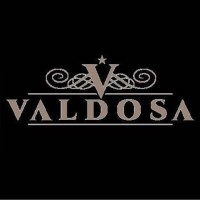 Valdosa Tech Solutions Limited logo - Similar company to Epistimis
