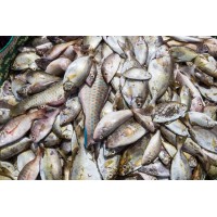PWANIISEAFOODS&FISH BUTCHERY
