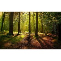 C.A. logo - Similar company to Emg Grupo Creativo, C.A.