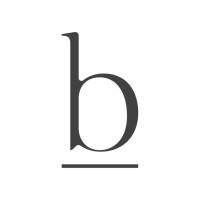 Braevin LLC logo - Similar company to Cubic Web Design