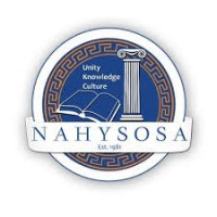 NAHYSOSA logo - Similar company to Mastrantonio