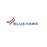 Bluehawk LLC, Intelligence Services logo - Similar company to Bluehawk Consulting (Now Tsg)