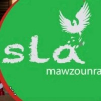 SLA Mawzounrak logo - Similar company to Hafia It