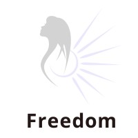 Freedom logo - Similar company to Idea To Vision
