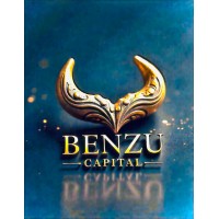 BENZU CAPITAL logo - Similar company to 24North Innovations Inc