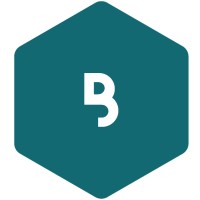 Blank Slate (Belgium) logo - Similar company to Lumit