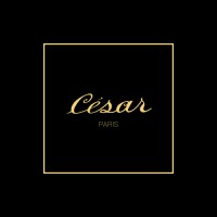 Cesar Paris logo - Similar company to Malys Paris
