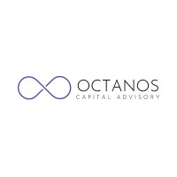 Octanos Capital Advisory logo - Similar company to Minerva Capital Partners