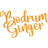 Bodrum Ginger logo - Similar company to Aydin Bois