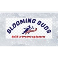 bloomingbuds logo - Similar company to Blooming Buds It Solutions Private Ltd