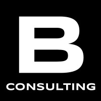Berritta Consulting logo - Similar company to Sencia