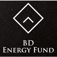 BD Energy Fund AG logo - Similar company to Traderspower Pte Ltd