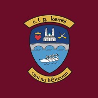 Westmeath GAA logo - Similar company to Leinster Gaa