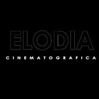 ELODIA CINEMATOGRAFICA SRL logo - Similar company to Treti S.R.L.