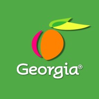 Team Georgia Careers logo - Similar company to Georgia Department Of Human Services