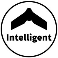 Intelligent Machines ltd. logo - Similar company to Delta Computer
